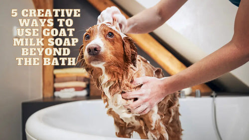 5-Creative-Ways-to-Use-Goat-Milk-Soap-Beyond-the-Bath Whitetail Lane Farm Goat Milk Soap