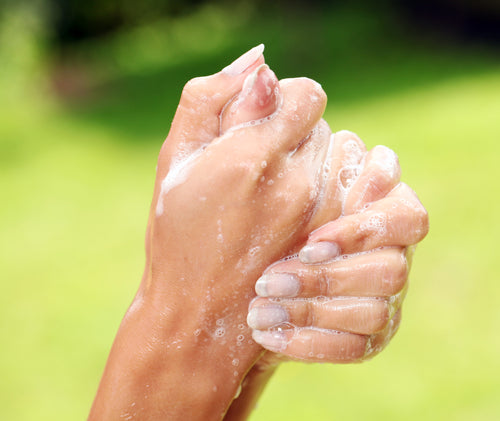 Person washing hands with goat milk soap